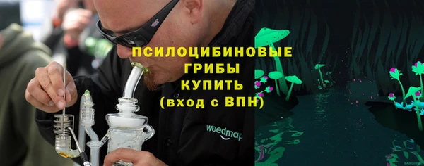 гидра Алзамай