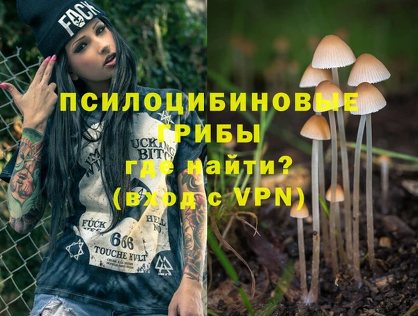 ALPHA PVP Алексеевка