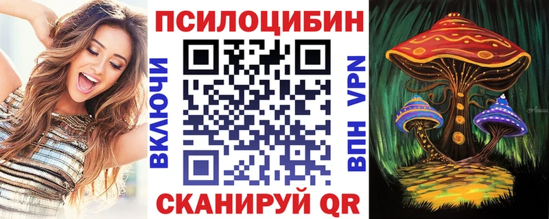 Псилоцибиновые грибы мицелий  Боготол 